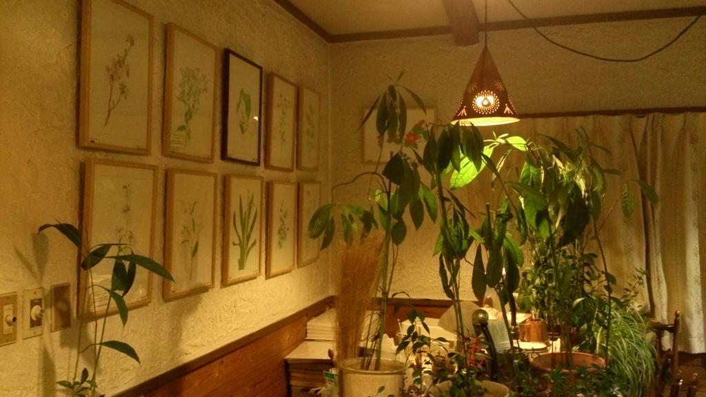 Gallery & Lodge Noichigo Хакуба-Мура Экстерьер фото